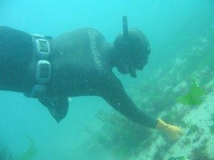 submarinismo